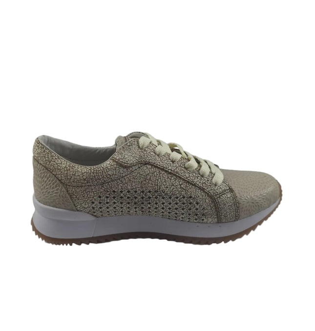 Tenis Camel
