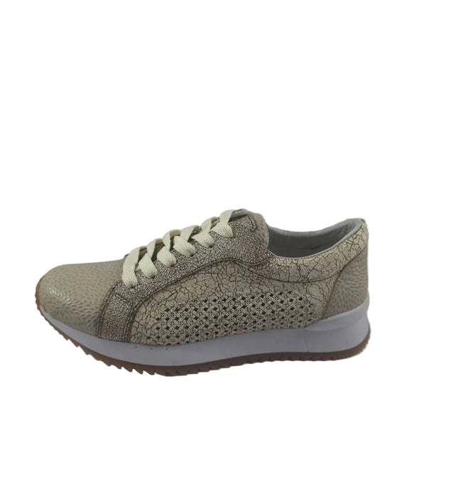 Tenis Camel